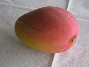 201608 mango.jpg